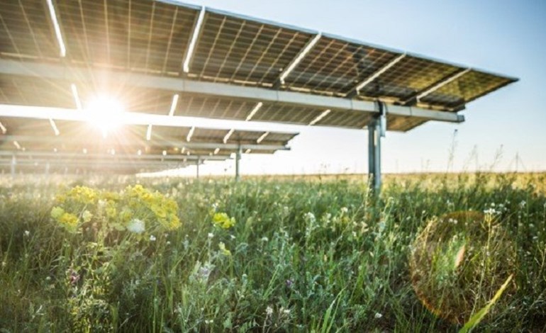 EOS Investment Management Group Seizes Opportunity: Acquires Six Promising Greenfield Solar Projects in Strategic Expansion [Image: Lightsource BP]
